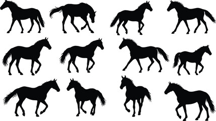 Set of twelve black horse silhouettes, various horse poses, vector illustration, wild and domestic horses, equine clipart, nature, farm animals, running, walking, trotting