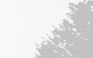 Abstract shadow overlay from foliage tree branch on a transparent background.