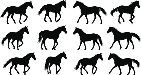 Set of black horse silhouettes in various walking and trotting poses, horse vector collection, animal shapes, nature, wildlife design elements for creative projects