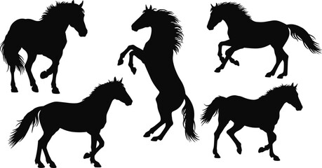 Silhouette of Horses in Various Poses, Rearing, Running, Jumping, and Standing, Animal Motion, Black Horse Illustration, Dynamic Horse Movement, Vector Art
