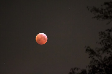 Totale Mondfinsternis 