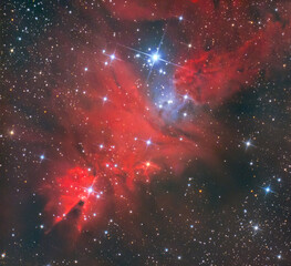 NGC 2264 - Konusnebel (Weihnachtsbaumnebel) in Bi-color