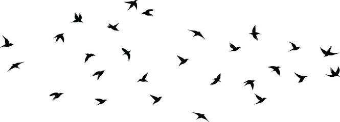 Flying bird silhouettes in sky vector, flock formation movement, wildlife freedom illustration, black birds artwork, peaceful migration pattern, nature minimal design