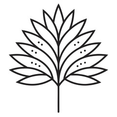 tamarix aphylla  line art vector on white background