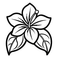  tibouchina jazzie  line art vector on white