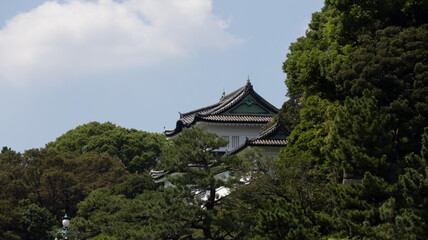 Fototapeta premium Nature, Japan.