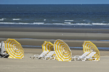 Beach chairs and umbrellas, to shelter from the wind, are the typical beach equipment of the...