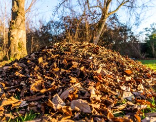 Obraz premium Autumn leaves pile in park