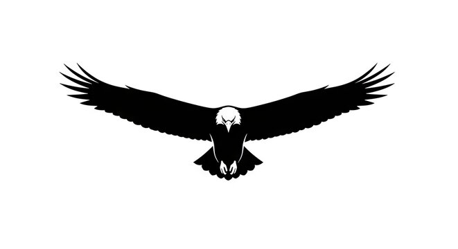 Soaring eagle silhouette illustration