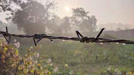 a barbed wire fence with trees in the background