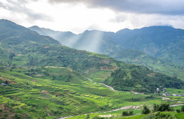 Obraz premium Rice fields on terraces of Mu Cang Chai, Vietnam.