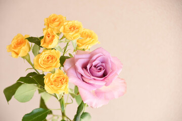 紫と黄色のばら