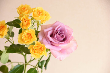 黄色と紫のばら