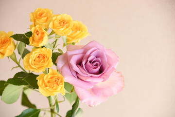 紫と黄色のばら