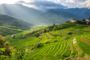 Rice fields on terraces of Mu Cang Chai, Vietnam.
