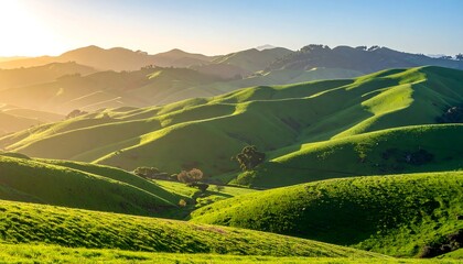 Fototapeta premium Idyllic green hills bathed in warm light, creating a serene countryside view