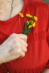 Close-up of a hand gently holding yellow wildflowers near the shoulder, with a vibrant red fabric...