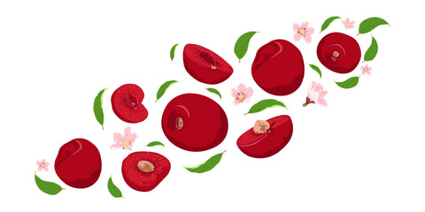 Fresh cherry whole and slices with leaves and flowers falling flying isolated on white background. Fruits collection.