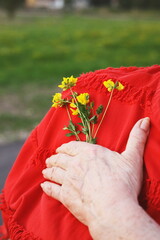 Close-up of a hand gently holding yellow wildflowers near the shoulder, with a vibrant red fabric...