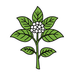 Stylized Vector Illustration of a Plant with Green Leaves and White Berries Ideal for Nature Themed Design