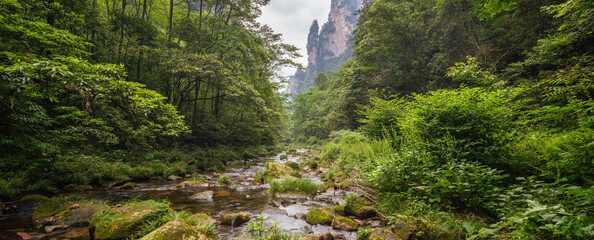 Panoramic view of the Golden Whip Stream in Zhangjiajie National Forest Park, Hunan Province, China