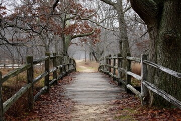 Cross Country Running Background. The bridge at Sunken Meadow State Park, Long Island
