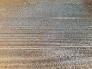 Harvested grain field with visible lines and agricultural use, fields and trees in the district of...