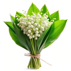 Obraz premium Delicate lily of the valley bouquet with vibrant green leaves