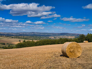 Golden straw bales dot a harvested field under a bright blue sky, with rolling patchwork hills beyond in Shropshire, UK; a crisp, late-summer rural scene