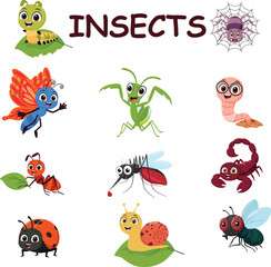 Insects cartoon character collections, cute butterfly, ant, fly, bugs, bee, spider, ladybug, caterpillar, worm, snail 