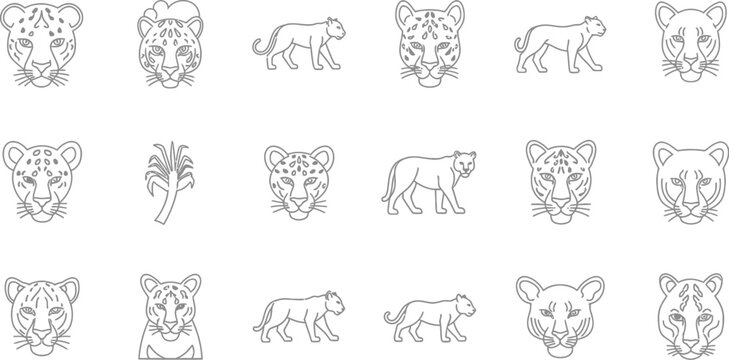 Collection of leopard and jaguar illustrations, showcasing various poses and expressions of these majestic wild cats in detailed sketches
