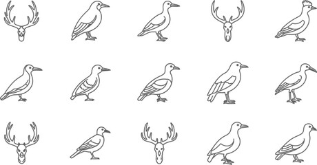 Collection of hand drawn stag skull and duck illustrations set of vintage wildlife animals in sketch style for graphic design elements and decoration