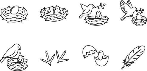 Obraz premium Collection of bird nest with eggs and chicks, bird footprint, and feather hand drawn vector illustration in doodle style for design element