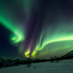 A vibrant aurora borealis display over a snow covered landscape with a starry night sky above it all