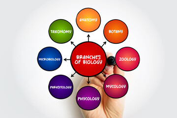 Branches of biology mind map text concept for presentations and reports