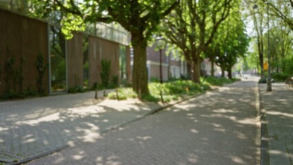 Outdoor cityscape with blurred tree-lined street and brick buildings, bathed in sunlight, creating a serene european urban scene.