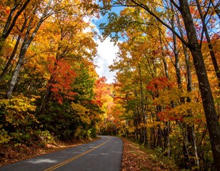 Fototapeta premium Autumn road through colorful woods