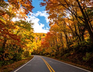 Obraz premium Autumn road through vibrant forest (1)
