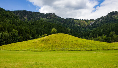 Obraz premium alpine meadow landscape with green hill and lone tree on the hilltop on forested mountain backdrop. artistic background with alpine