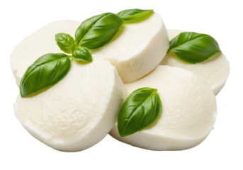 Thick, creamy fresh mozzarella slices and green basil leaves on white studio background with soft light, close-up with shallow focus, appetizing Italian food concept