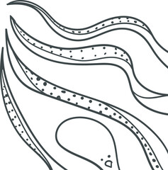 Long tentacles and head of an octopus