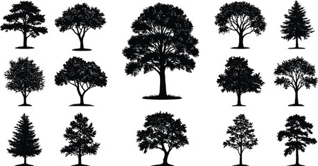 Silhouette tree set vector, various tree shapes collection, black tree icons isolated on white background, nature illustration for design, landscape elements