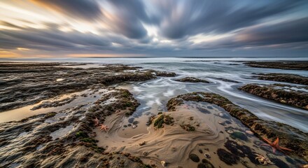 Starfish and Crabs in Tidal Pools with Streaking Clouds at Sunset
