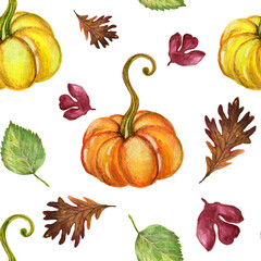 Drawing  harvest illustration collection  leaves For fall autumn season concept Watercolor style