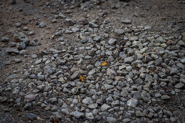 A close-up view of a rough gravel ground with small to medium-sized gray stones, scattered with a...