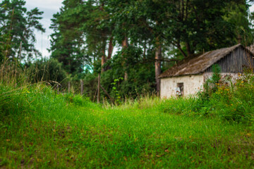 Rustic abandoned building with a mossy roof set in a lush grassy clearing, surrounded by trees and overgrown vegetation.