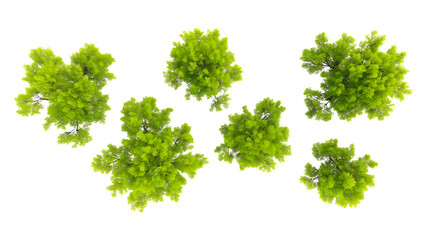 Fototapeta premium vibrant collection of top view green trees isolated on white background