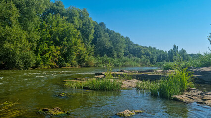 Obraz premium River with green trees on banks and rocky shore under blue sky in summer. Outdoor nature beautiful landscape photography