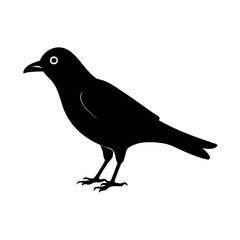 Obraz premium Silhouette of a crow, dark and simple. 