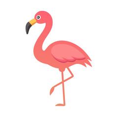 Obraz premium Pink flamingo, standing tall, profile view. 
